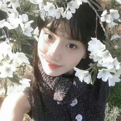 极秘搜查
